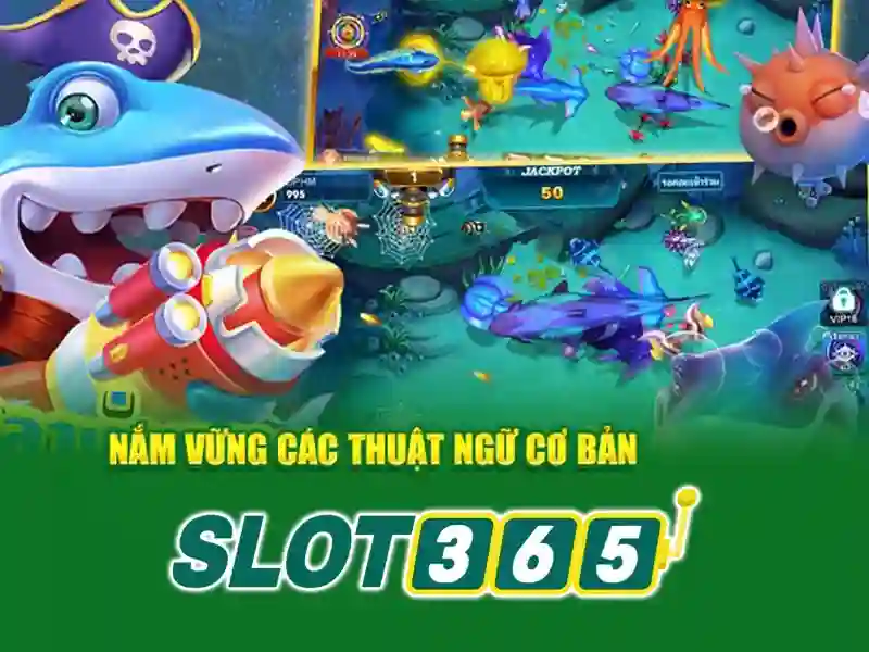 Hướng dẫn tham gia và khuyến mãi