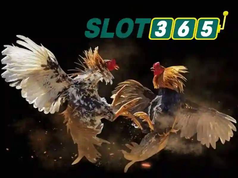 Slot365: Tổng quan về nền tảng casino trực tuyến nổi bật