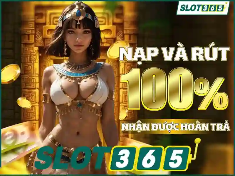 Giao diện người dùng và trải nghiệm di động