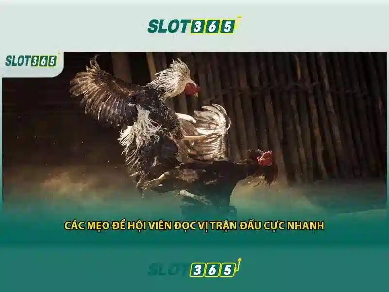 Lợi ích khi tham gia Slot365\n\n