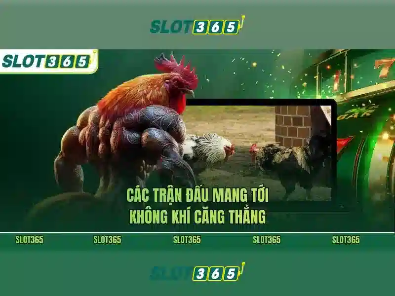 Hỗ trợ khách hàng và trải nghiệm người dùng