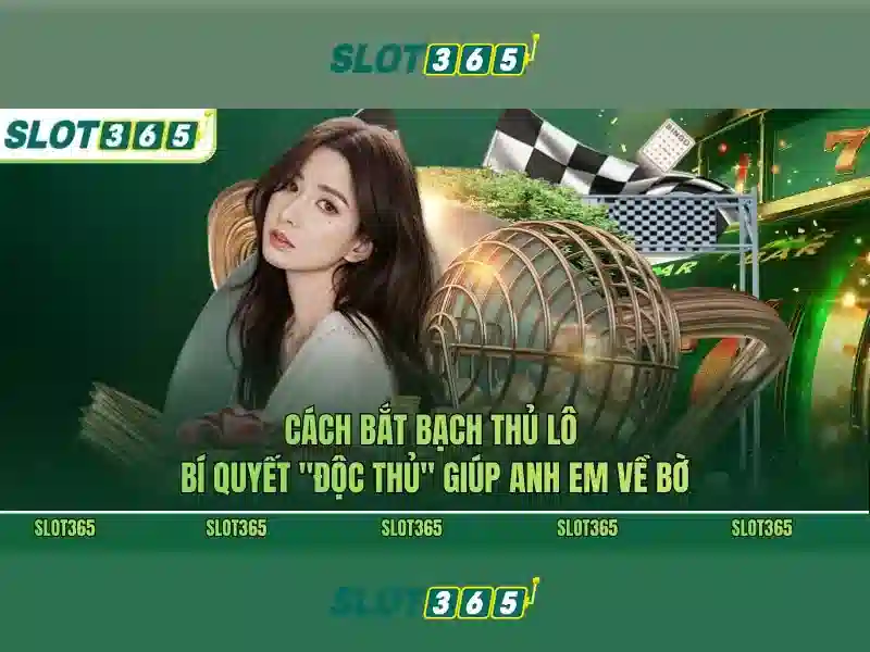Slot365: Trải nghiệm sòng bài trực tuyến hàng đầu