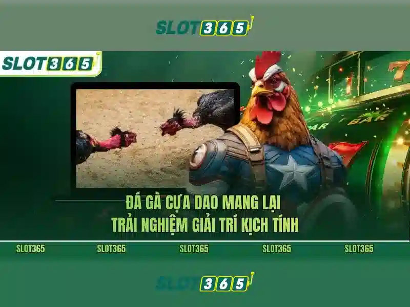 Slot365: Nền tảng chơi slot trực tuyến đáng tin cậy ở Việt Nam