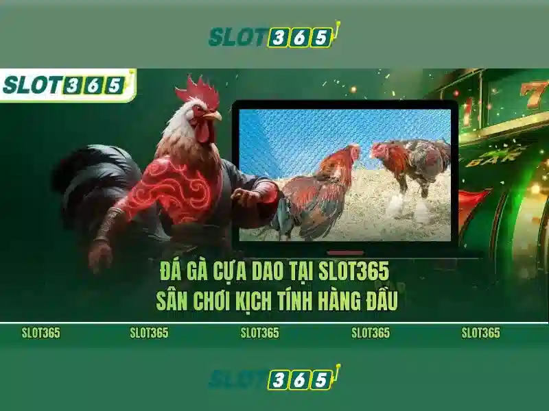 Slot365: Tong quan ve nen tang danh bai truc tuyen