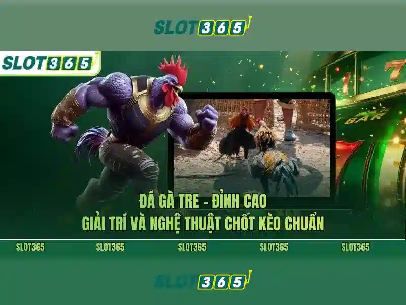 slot365 link alternatif – Tổng quan chủ đề và giá trị cốt lõi