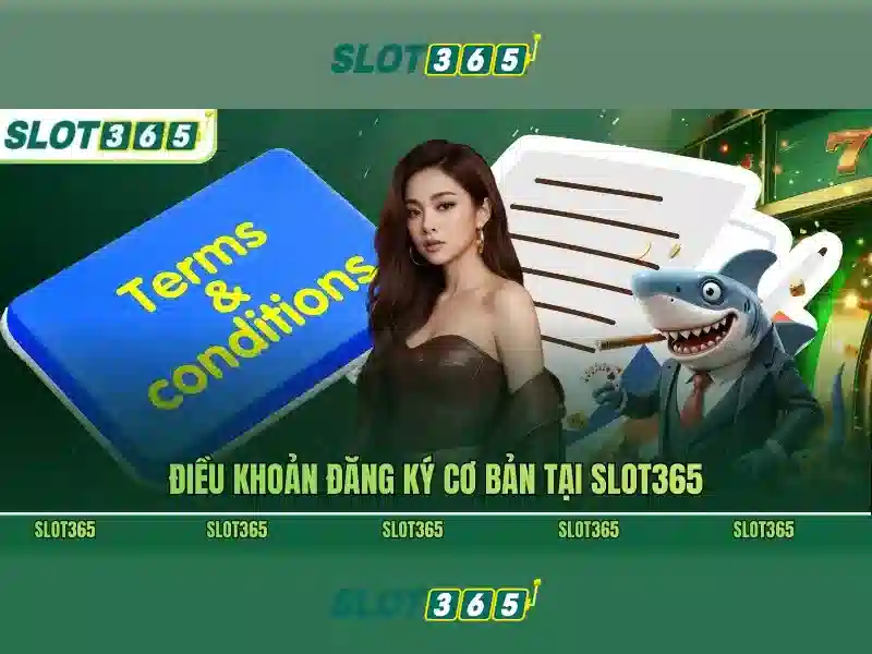 Các tính năng nổi bật