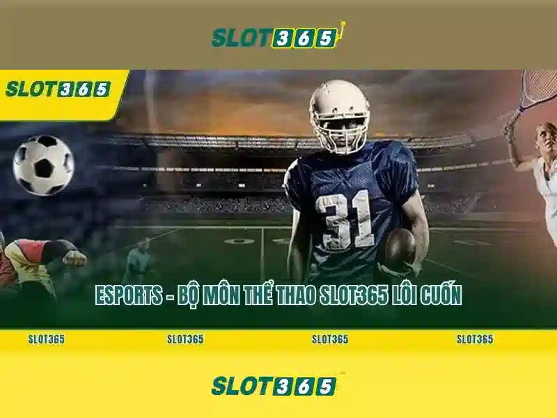 Phát triển và tầm nhìn tương lai