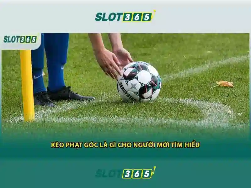 Lợi thế và sức cạnh tranh