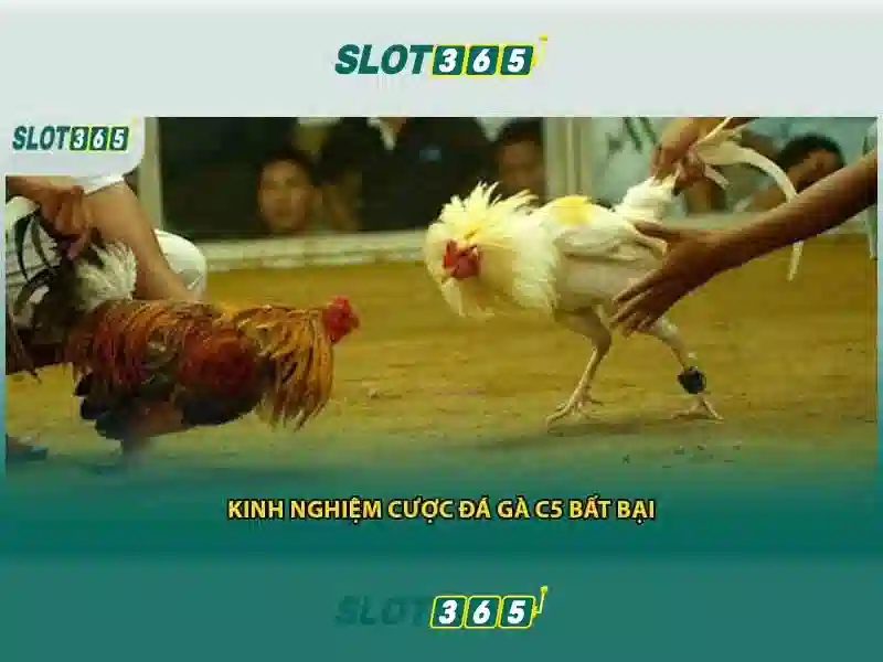Các trò chơi slot nổi bật\n