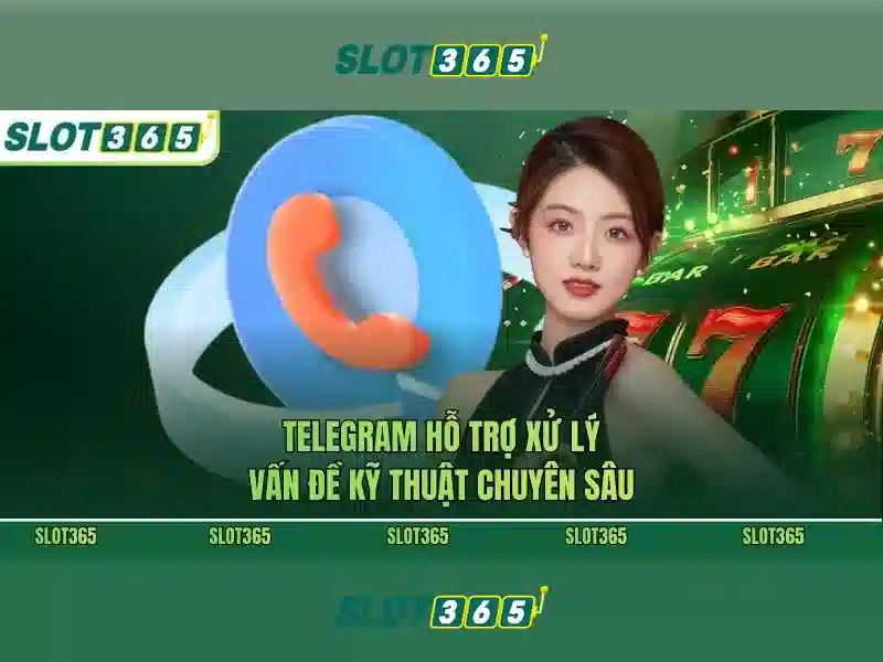 Dịch vụ khách hàng và hỗ trợ 24/7