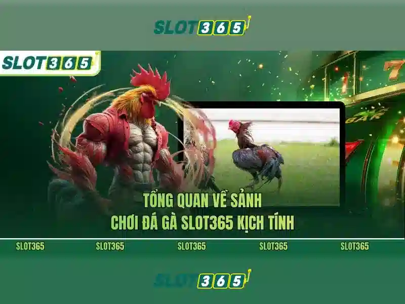Sản phẩm và dịch vụ cốt lõi: Ứng dụng thực tế của slot game Slot365