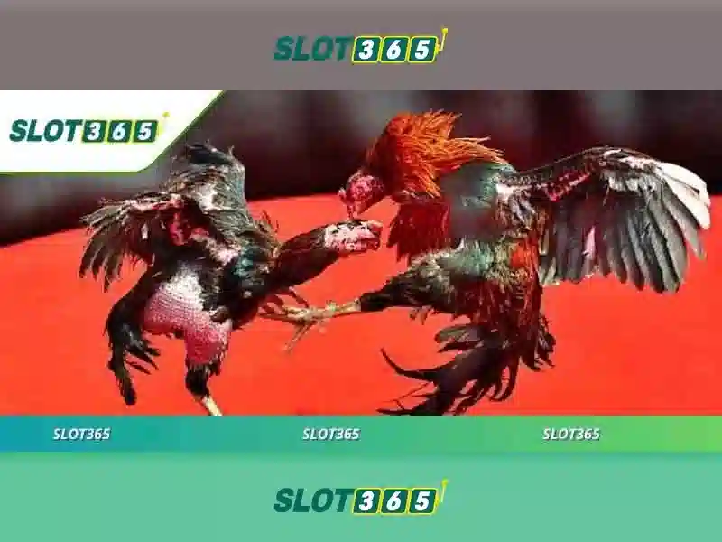 Trải nghiệm người dùng trên Slot365\n