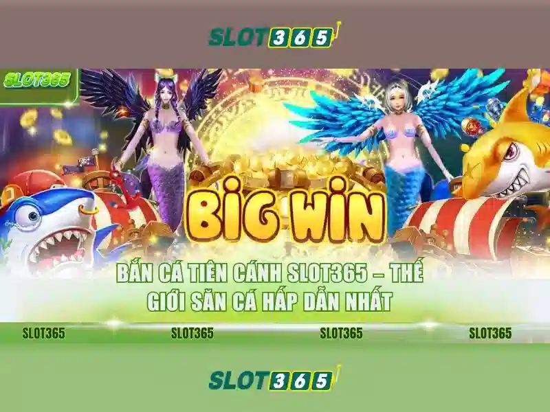 Slot365: Tổng quan về nền tảng casino trực tuyến