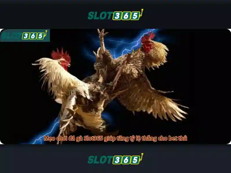 Slot365: Nền tảng trò chơi xèng trực tuyến