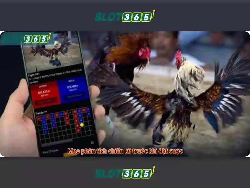 Slot365: Tổng quan về nền tảng chơi slot hiện đại