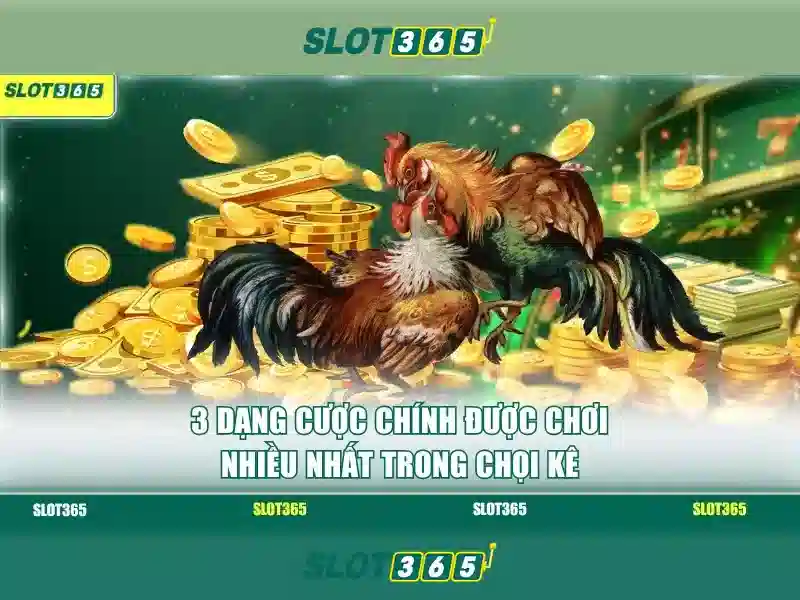 Slot365 - Nền tảng máy đánh bạc trực tuyến