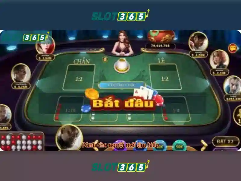 Slot365: Đánh giá nền tảng xèng trực tuyến