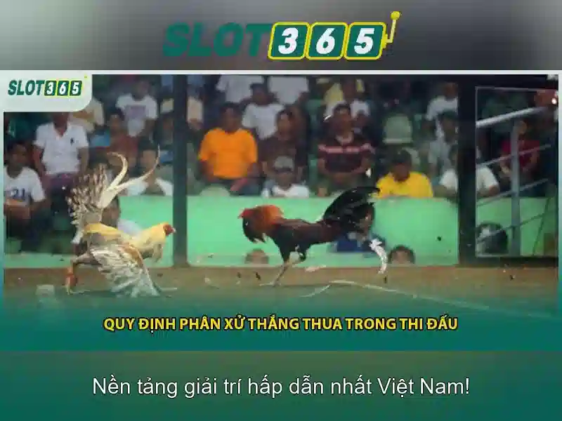 Slot365 là nền tảng chơi slot trực tuyến hàng đầu