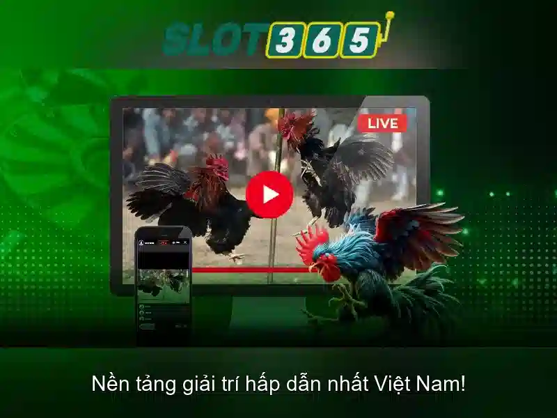 Slot365: Tổng quan về nền tảng