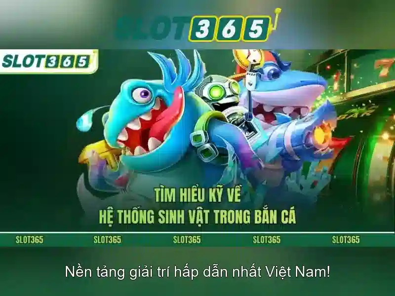 Khuyến mãi và thanh toán