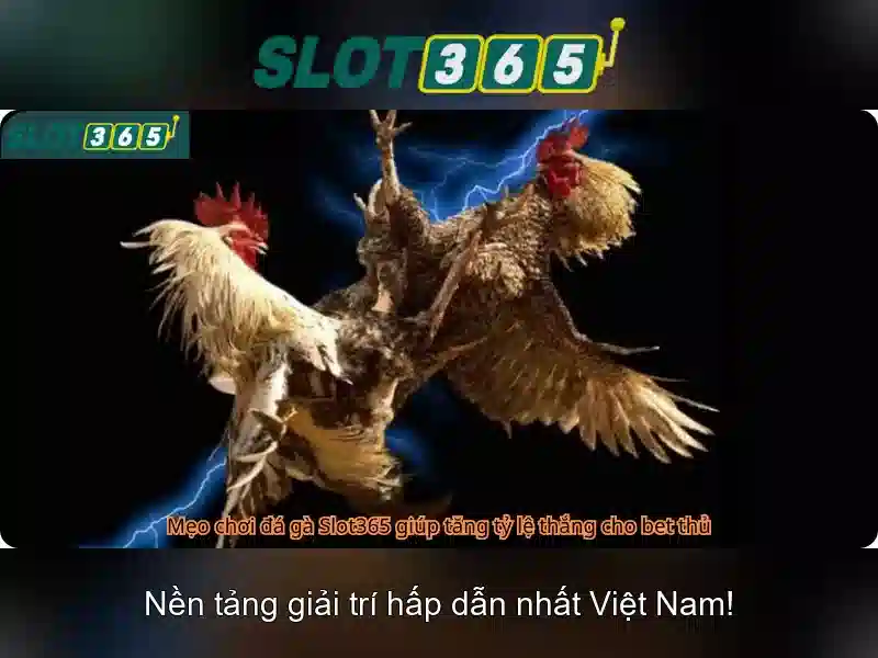 Slot365 trên thị trường cờ bạc trực tuyến