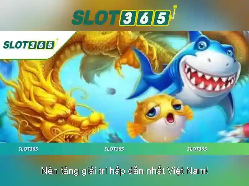 Trải nghiệm người dùng và giao diện