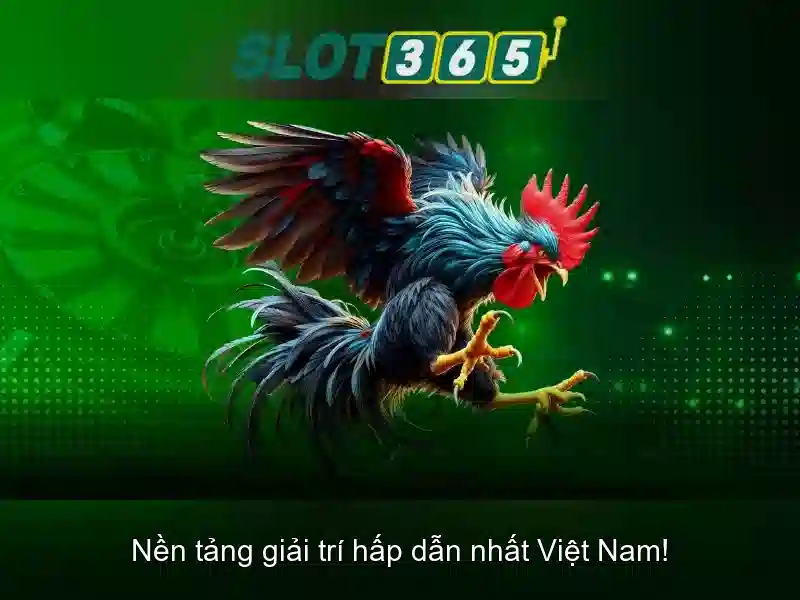 Tính năng nổi bật của Slot365
