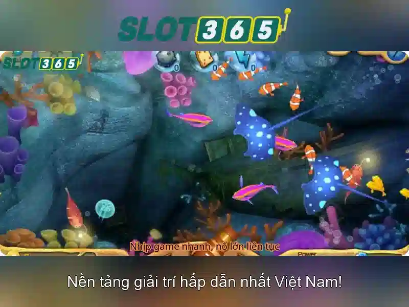 Khuyến mãi và chăm sóc khách hàng