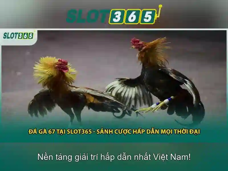 Giới thiệu về Slot365