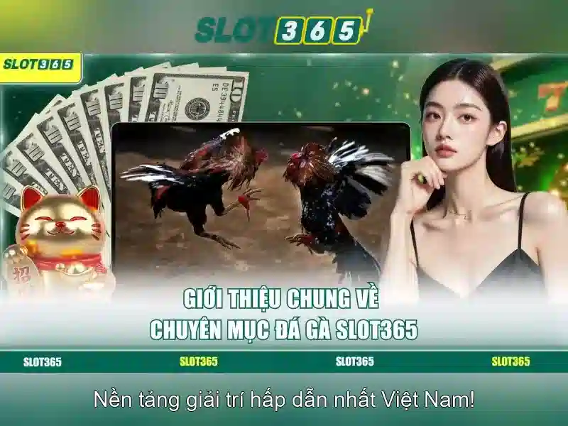 Giới thiệu Slot365\n