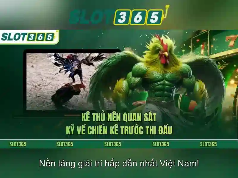 Slot365 – Nền tảng xèng trực tuyến nổi bật