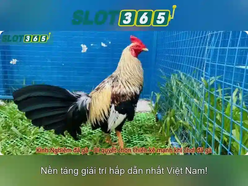 Tính năng nổi bật của Slot365\n
