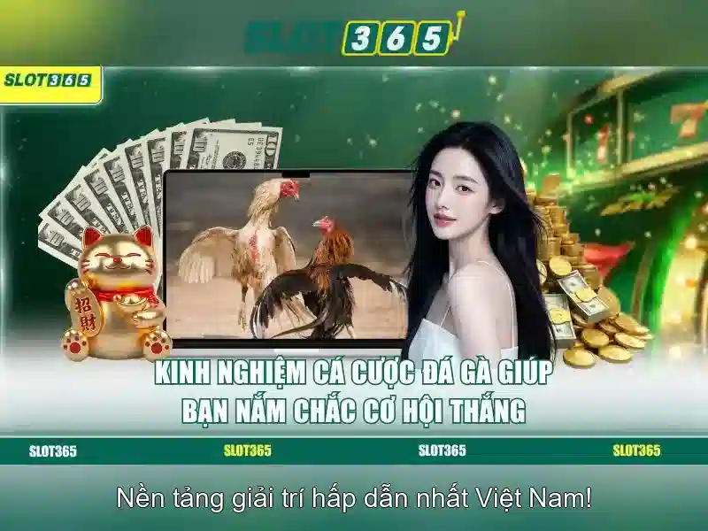 Hỗ trợ khách hàng và cách bắt đầu