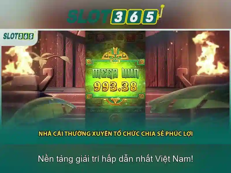 Hỗ trợ khách hàng và tham gia thưởng