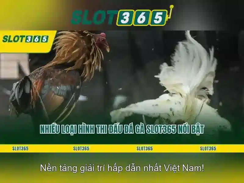 An toàn, thanh toán và hỗ trợ