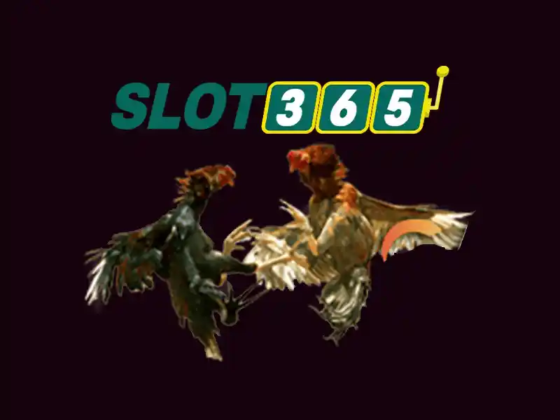 Slot365 co lua dao khong - chu de tong quan va gia tri