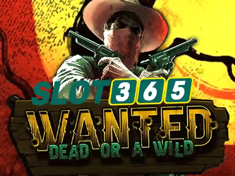 Slot365: Khám phá nền tảng đánh bạc trực tuyến hàng đầu