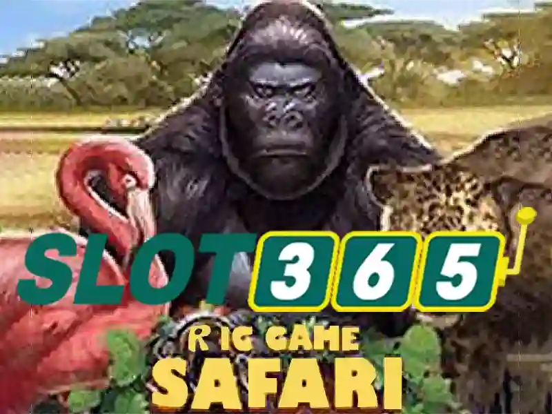 Slot365 là gì?\n